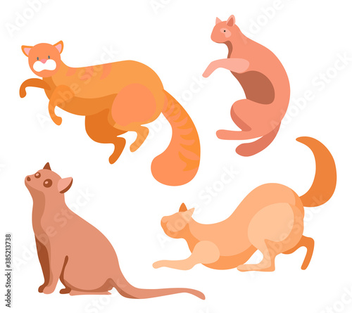 Set of domestic cats isolated beige kittens in different poses. Brown cat with straight ears, playful feline characters flat cartoon style. Vector illustration domestic pets purebred, long hairy tails