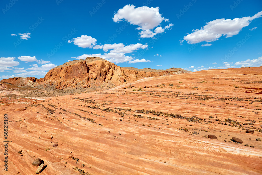 Fototapeta premium Sandstone formations in Valley of Fire State Park, Nevada, USA.