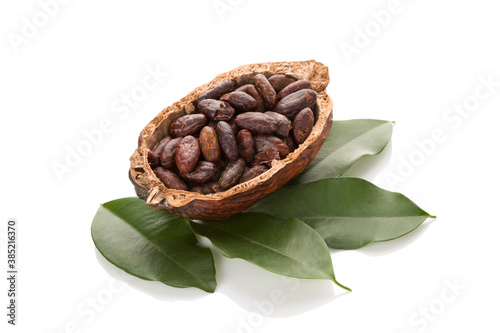 Cocoa beans isolated on white background.