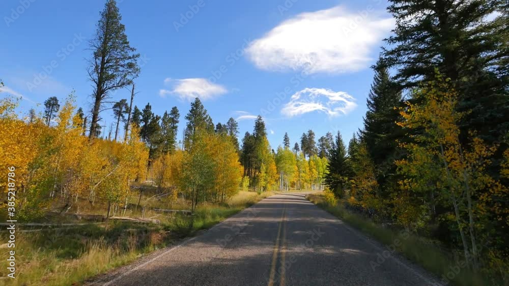 Driving through Foliage Grand Canyon North Rim Aspen Forest in Arizona USA Driving through Foliage Grand Canyon North Rim Aspen Forest in Arizona USA