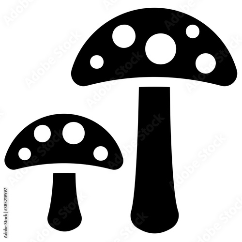 
A fleshy cultivation used in diet, a mushroom
