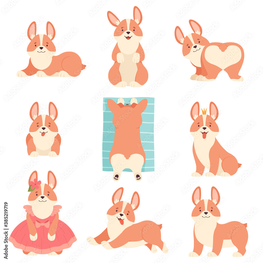 Welsh Corgi with Short Legs and Brown Coat in Different Poses Vector Set