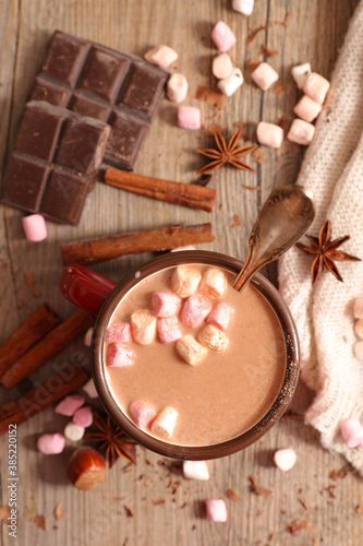hot chocolate with spices and marshmallow