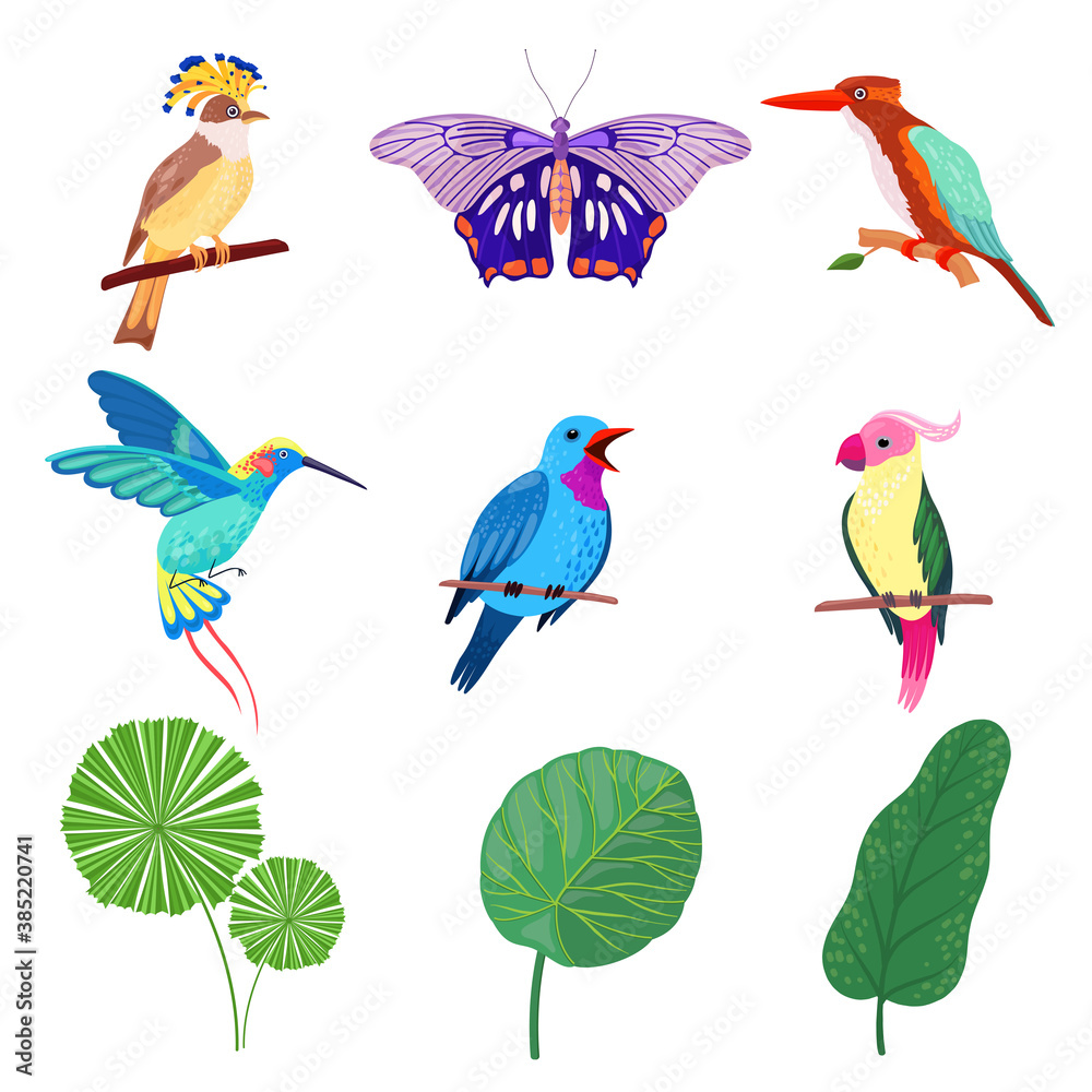 Tropical Leaves, Birds and Butterflies as Exotic Flora and Fauna Vector Set