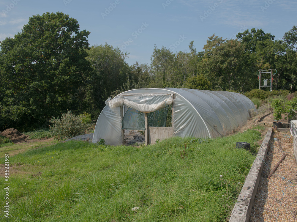 Polytunnel for Propagating Plants and Vegetables on an Allotment in a Vegetable Garden in Rural West Sussex, England, UK Polytunnel for Propagating Plants and Vegetables on an Allotment in a Vegetable Garden in Rural West Sussex, England, UK