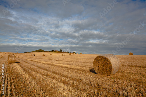 Bales of straw on a farm field..
