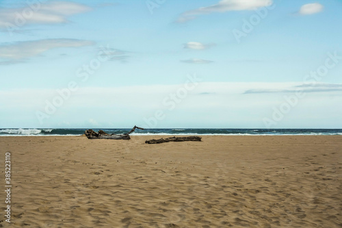 beach in the morning