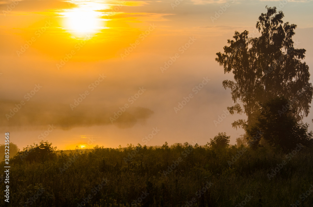 morning fog over the lake. Sunlight through the forest