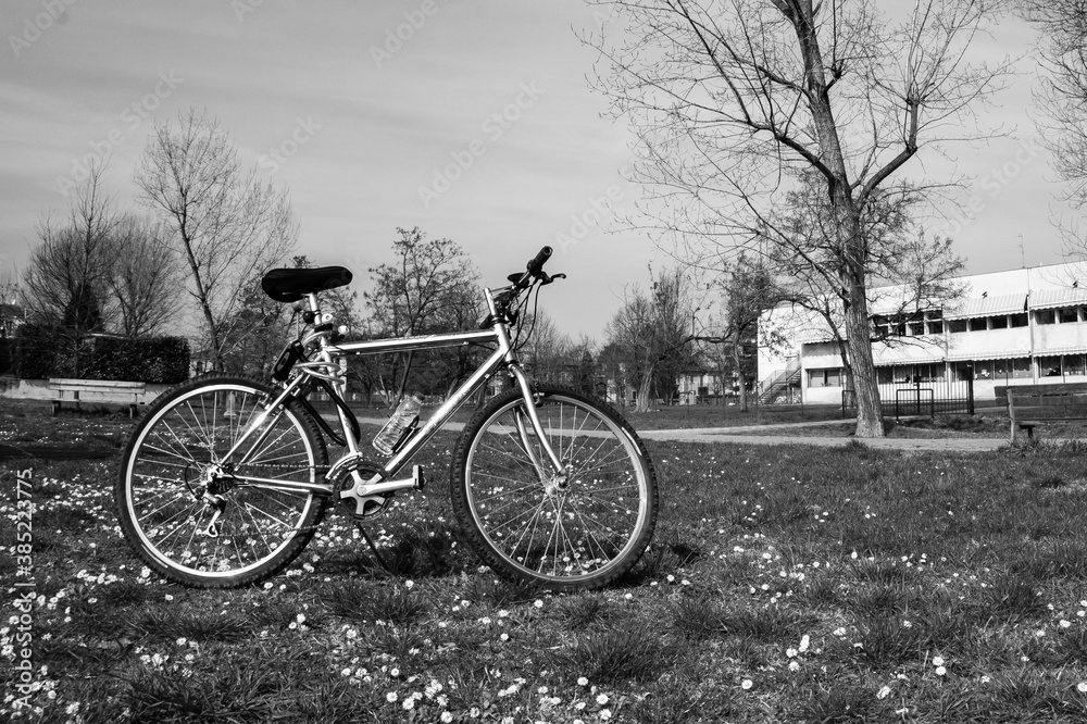 Obraz premium Bicycle in the park