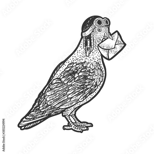 Wallpaper Mural Homing Carrier pigeon sketch raster illustration Torontodigital.ca