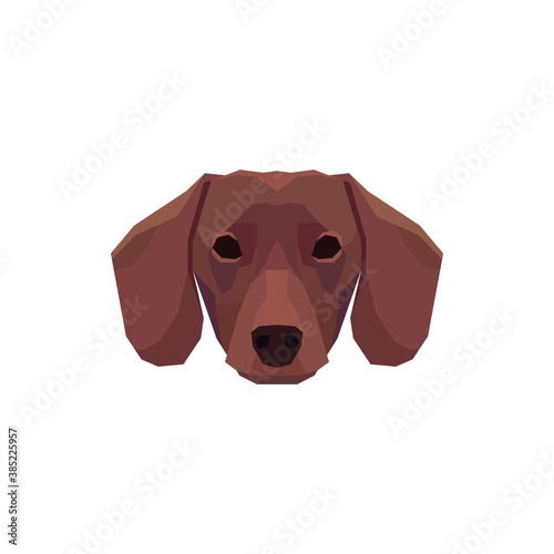Low poly Dachshund head. Vector illustration