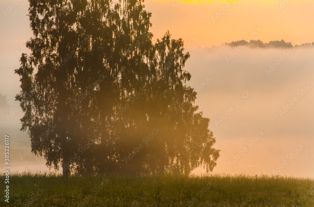 Obraz premium morning fog over the lake. Sunlight through the forest