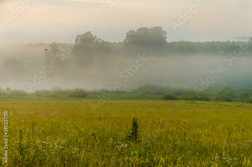 Fototapeta Naklejka Na Ścianę i Meble -  morning fog over the lake. Sunlight through the forest