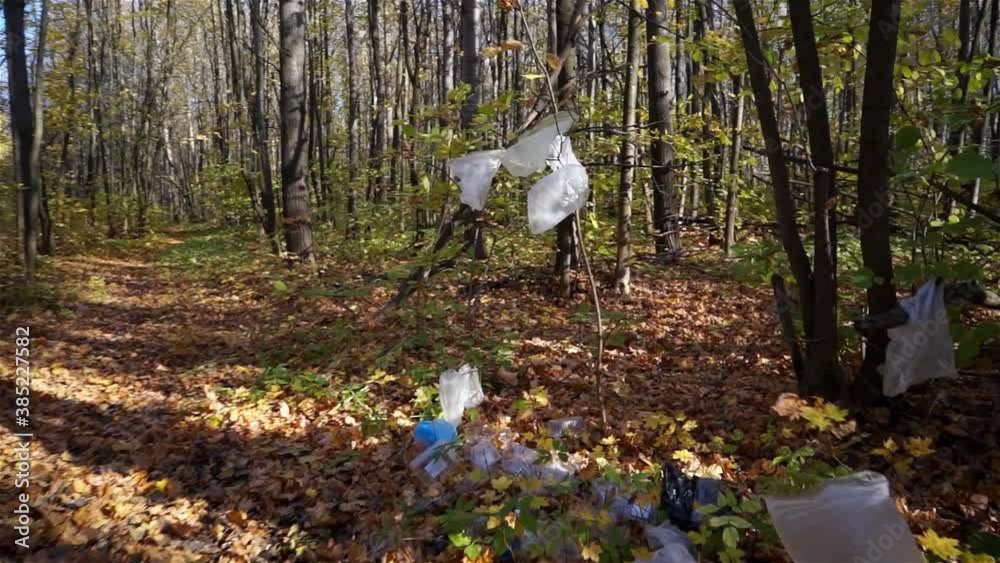 Plastic pollution of the forest and nature. Bottles, bags, and other plastic trash in the woods. Safe nature, global problem