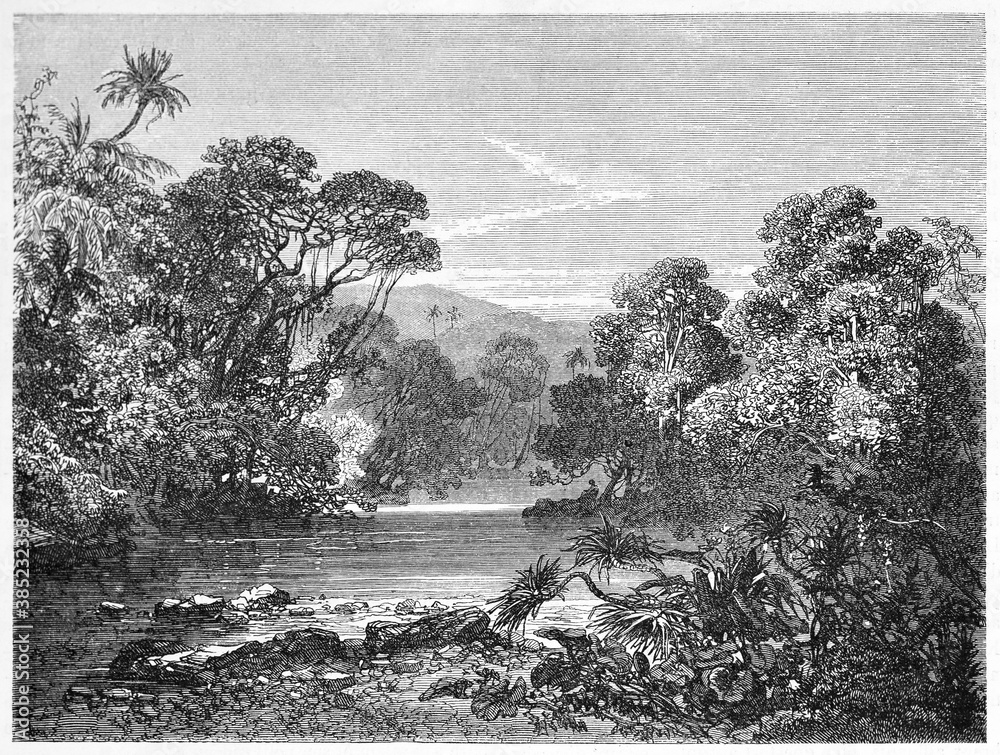 Φωτογραφία calm water of Kakriman river, Guinea, surrounded by lush jungle vegetation in western Africa