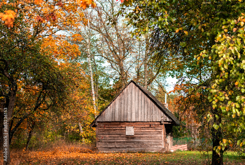 Rural autumn landscape - old wooden  rustic building in the autumn garden.
