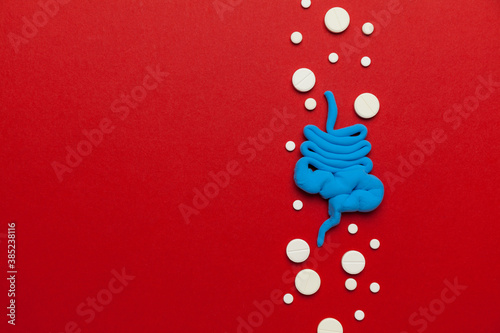 Canvastavla Human intestines with pills on a red background