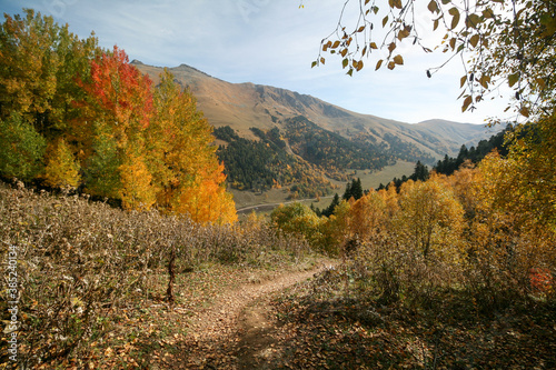 Golden autumn in the mountains of Arkhyz, Russia.