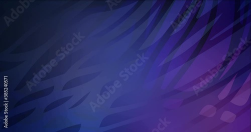 4K looping dark purple animated lines, curves. Flowing colorful lines in motion style with gradient. Film business advertising. 4096 x 2160, 30 fps.