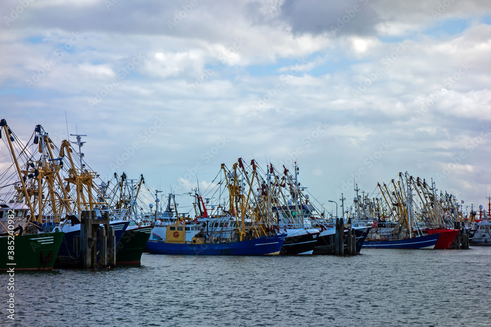 Harbour with fishing boats at Lauwersoog, Netherlands
