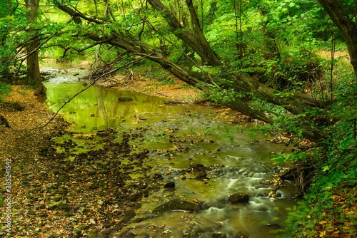 Fototapeta Naklejka Na Ścianę i Meble -  Flowing stream in the autumn forest