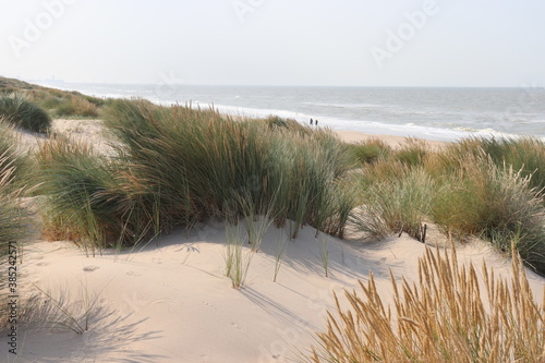 Der Strand in der N  he von De Haan  Flandern  Belgien mit Strandgras und Strandspazierg  ngern 