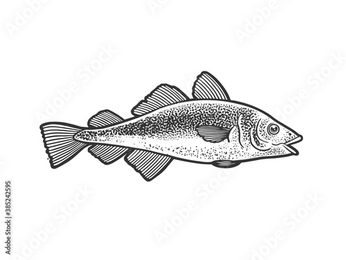 Atlantic cod fish sketch engraving vector illustration. T-shirt apparel print design. Scratch board imitation. Black and white hand drawn image.