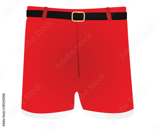 Santa Claus pants. vector illustration