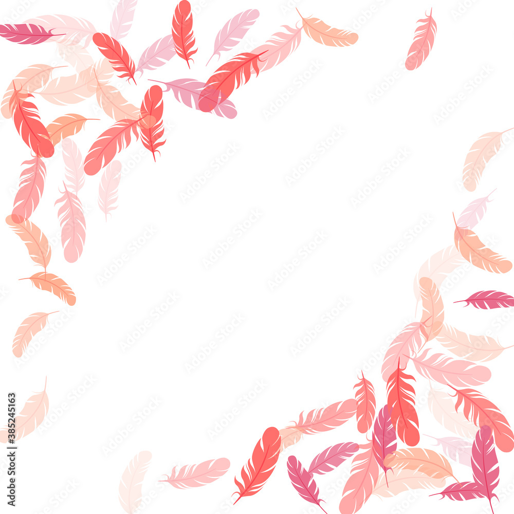 Detailed majestic feather on white design.