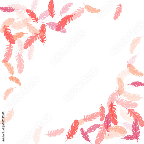 Detailed majestic feather on white design.