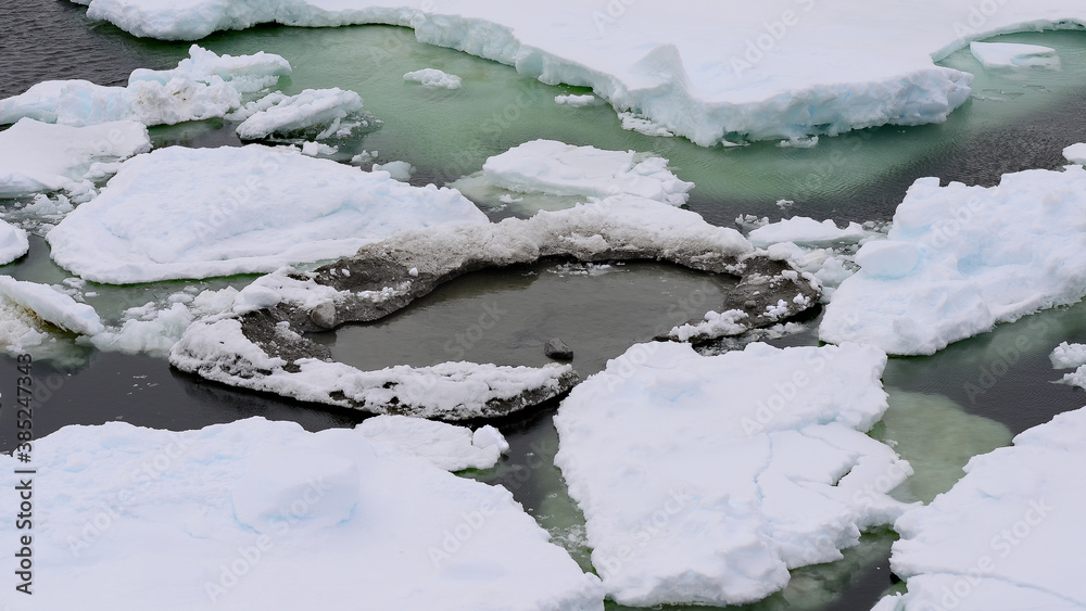 Iceberg in Signy Island, Antarcica Iceberg in Signy Island, Antarcica