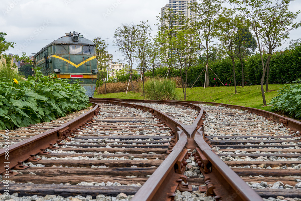 Obraz premium Railroad tracks and locomotives in the wild