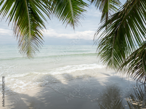 white sand beach under coconut palm tree shadow with wave  sea  and sky in background. private beach at Koh Kut Island  Thailand. 