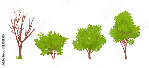 Wild bush greenery plant, summer and autumn shrub stem set. Dry tree brown branches, lush foliage, fresh leaves for forest, garden, park, city street decoration. Vector flat style cartoon illustration