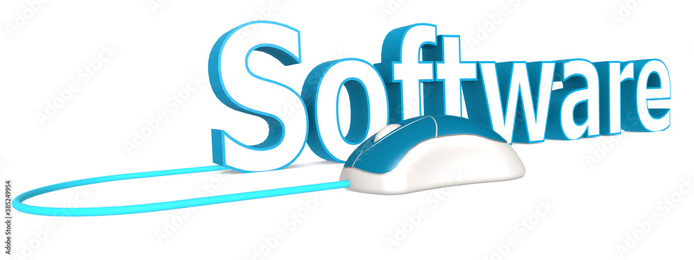 Blue and white computer mouse with software word