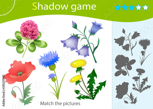 Shadow Game for kids. Match the right shadow. Color images of summer field flowers. Dandelion, bluebell or bellflower, clover, poppy and cornflower. Worksheet vector design for children