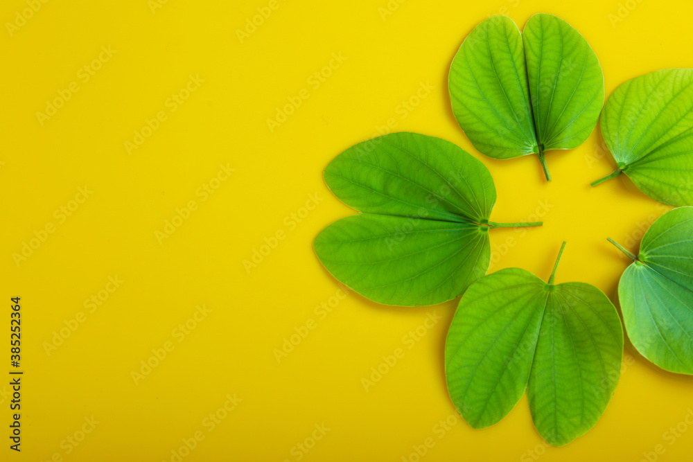 Indian Festival Dussehra , green leaf and rice Indian Festival Dussehra , green leaf and rice