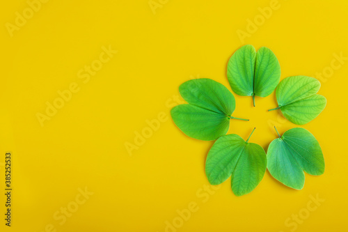 Indian Festival Dussehra , green leaf and rice