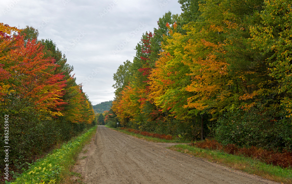 Fototapeta premium country road in autumn