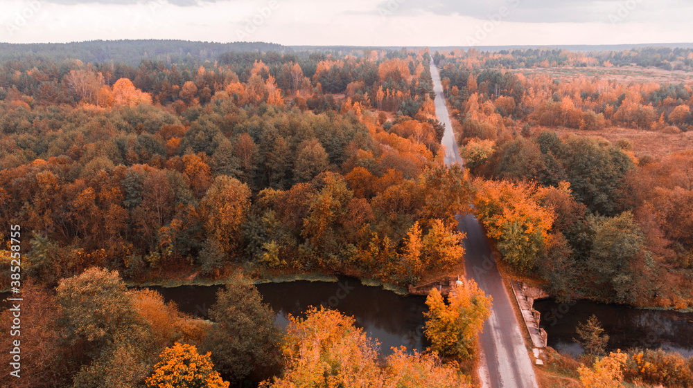road passing through the autumn forest. bright orange leaves on the trees. autumn nature. the view from the top