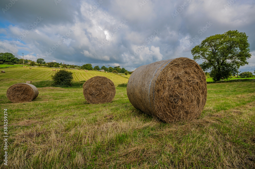 Hay bales in a green field with wheat fields in the background and a stormy sky Hay bales in a green field with wheat fields in the background and a stormy sky