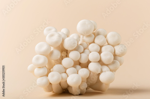 White beech mushrooms or Shimeji mushroom on pastel beige paper background.