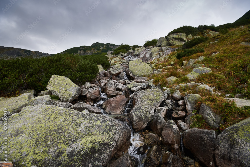 View on wild nature in amazing high Tatras, Slovakia, Europe