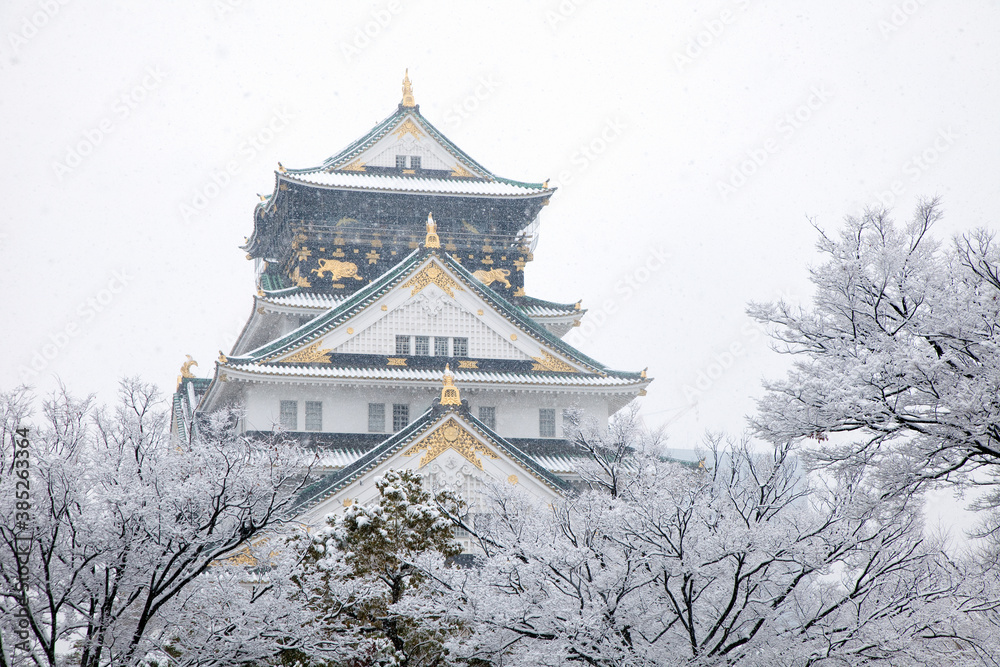 Naklejka premium 大阪城と雪