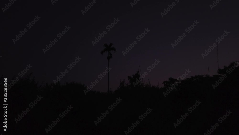 Ubud, Bali, Indonesia. 4K Time lapse of people tourists walking on Campuhan Ridge Walk at sunset pink color. Silhouette of palm tree. Day to night timelapse. Pan right. Ubud, Bali, Indonesia. 4K Time lapse of people tourists walking on Campuhan Ridge Walk at sunset pink color. Silhouette of palm tree. Day to night timelapse. Pan right.