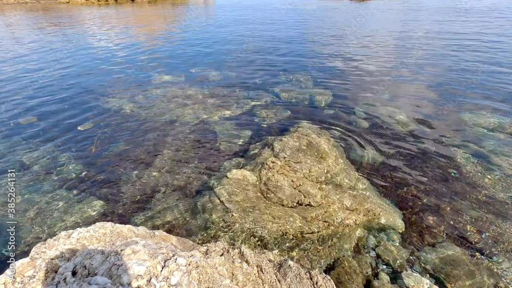 Paysage de bord de mer