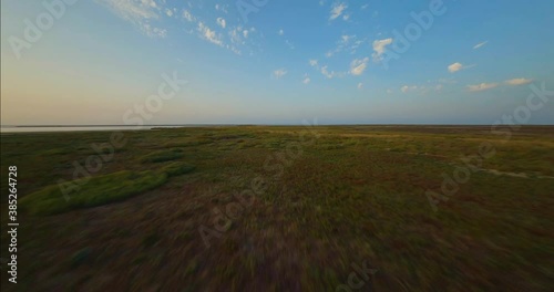 Drone Flying around beautiful camargues in south of France, wet and dry landscape with birds and swamps