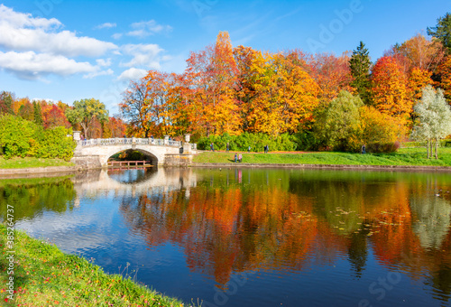 Slavyanka river in autumn in Pavlovsky park, Pavlovsk, Saint Petersburg, Russia