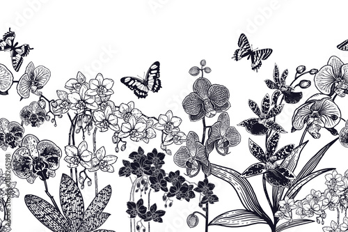 Seamless background with orchids and butterflies. Black and white. Vector. photo