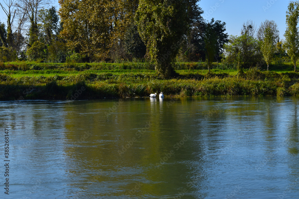 view of a countryside landscape with river and wild nature view of a countryside landscape with river and wild nature